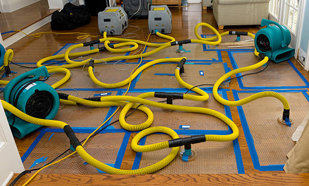 Professional Basement Flood Cleanup technician working in Sacaton, AZ